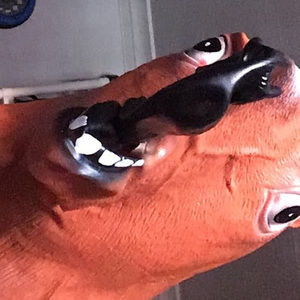 Meet your Posher, Bicornxunicorn